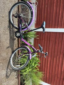Girls bike