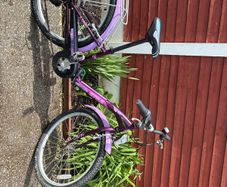 Girls bike
