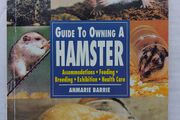 Guide To Owning A Hamster
