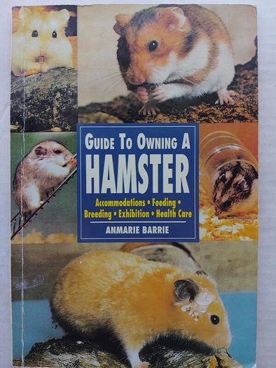 Guide To Owning A Hamster