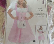 Halloween costume