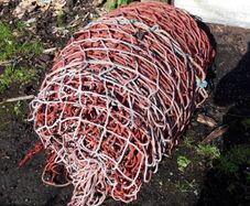 Fishing net