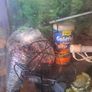 75litre Aquarium Image 3