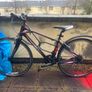 Ladies Bike Image 3