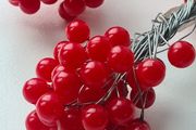 Wires with plastic berries/beads for wreaths, arts, and crafts