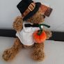 new collectable teddy with pumpkin tag attached Image 4