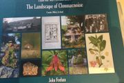 The Landscape of Clonmacnoise