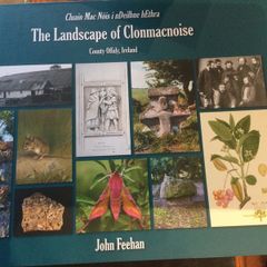 The Landscape of Clonmacnoise