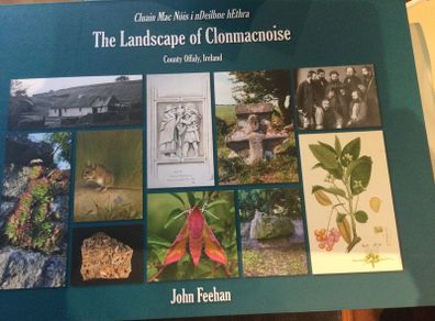 The Landscape of Clonmacnoise