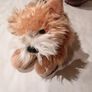 Keel Toys "Honey" Terrier Dog Soft Toy Plush Image 6