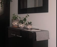 Cabinet with matching mirror