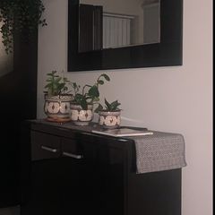 Cabinet with matching mirror