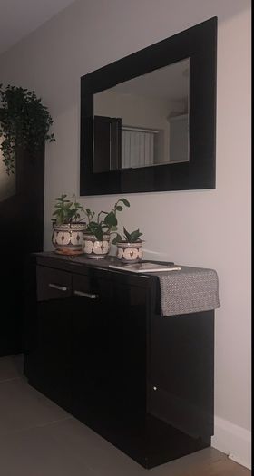 Cabinet with matching mirror