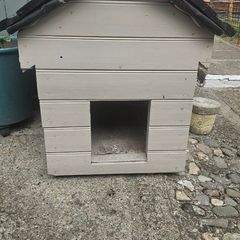 Free Dog House
