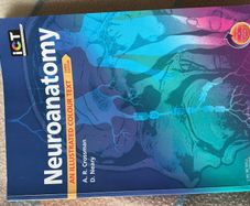 neuroanatomy