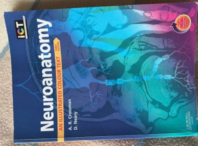 neuroanatomy