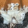 Cyclops Plushie Bear Ugly Doll Eyeball Mischief Stuffed Animal  Keyring Charms Weird Gifts Image 2