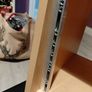thon studio line 6U Rack Image 3