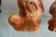 Dogs China Ornaments Shitz Szu