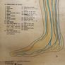 Mid century linen anatomical chart Image 3