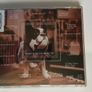 The Mavericks [1998] Trampoline (CD Album) Image 2