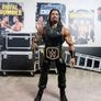 WWE Wrestling Figures - click for prices. Image 4