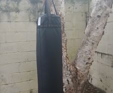 Punching Bag