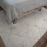 rug Image 3