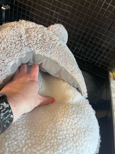 Tatty Teddy foot warmer