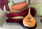 Sherwood Mandolin