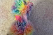 TY Asha Ostrich Beanie Boo