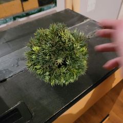 tank ornament