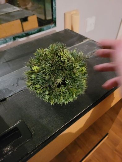 tank ornament