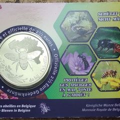 Belgium 2.5 Euro Brilliant Uncirculated Coin 2024 - The Bee in Belgium - Belgian Coincard Catalog