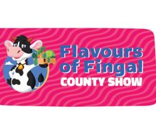 Flavours of Fingal car park ticket