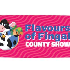 Flavours of Fingal car park ticket