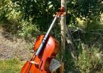cello