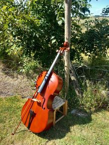cello
