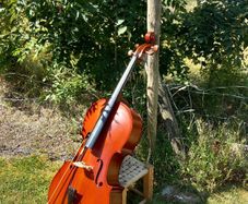 cello