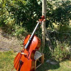 cello