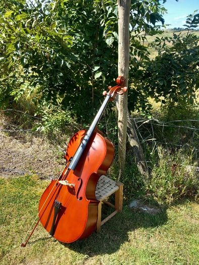 cello