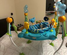 Baby Bouncer