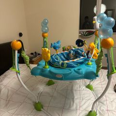 Baby Bouncer