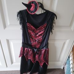 ladies  costumes  dress