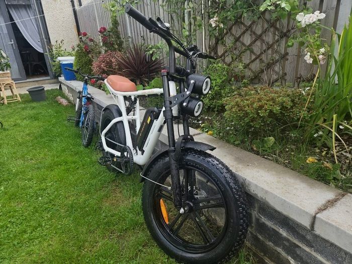 Electric Moped - ENGWE M20