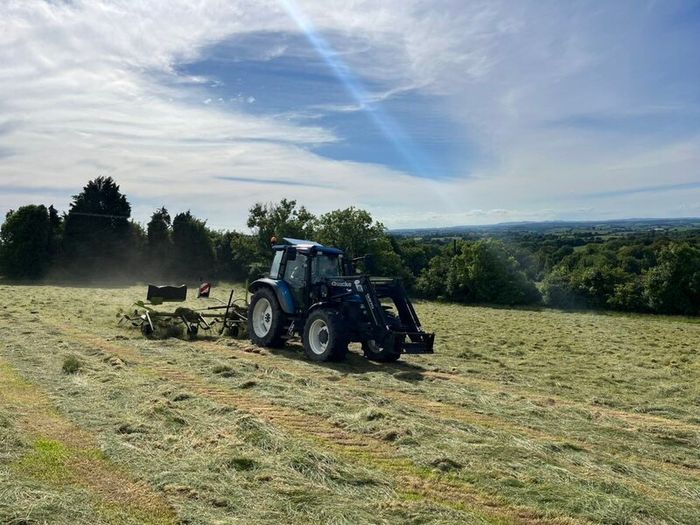 Organic Hay