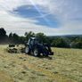 Organic Hay Image 2