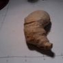 fossils Image 2