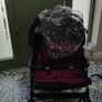 Joie double buggy Image 2