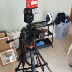Camera Tripod